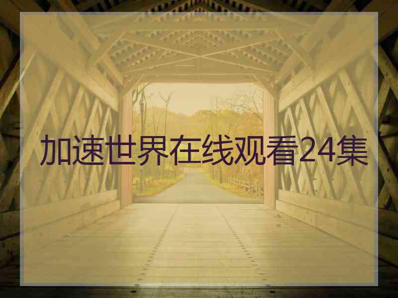 加速世界在线观看24集