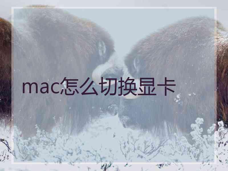 mac怎么切换显卡