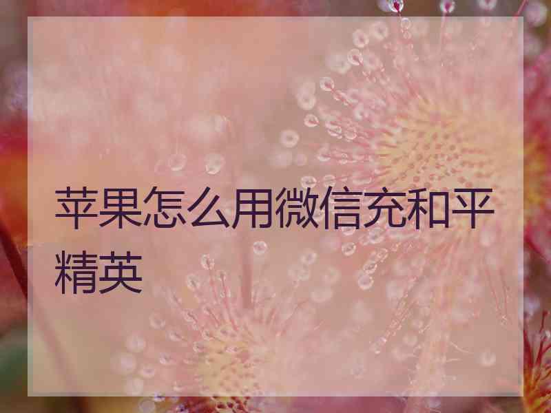 苹果怎么用微信充和平精英