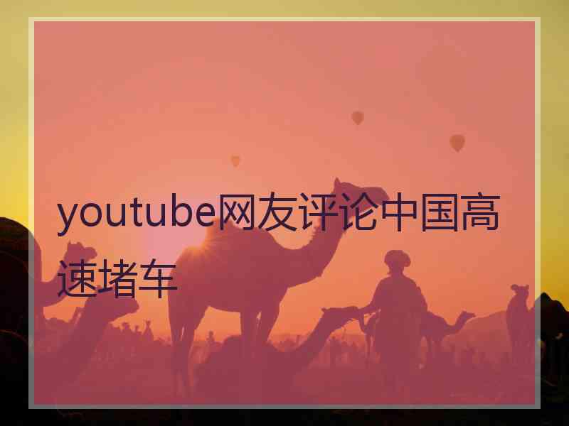 youtube网友评论中国高速堵车