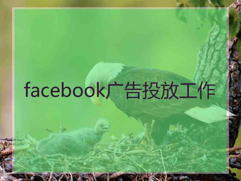 facebook广告投放工作