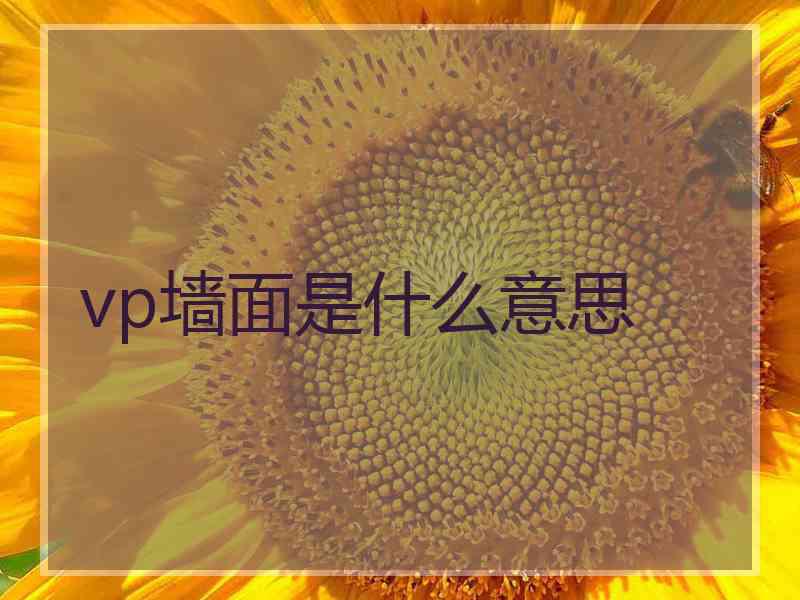 vp墙面是什么意思