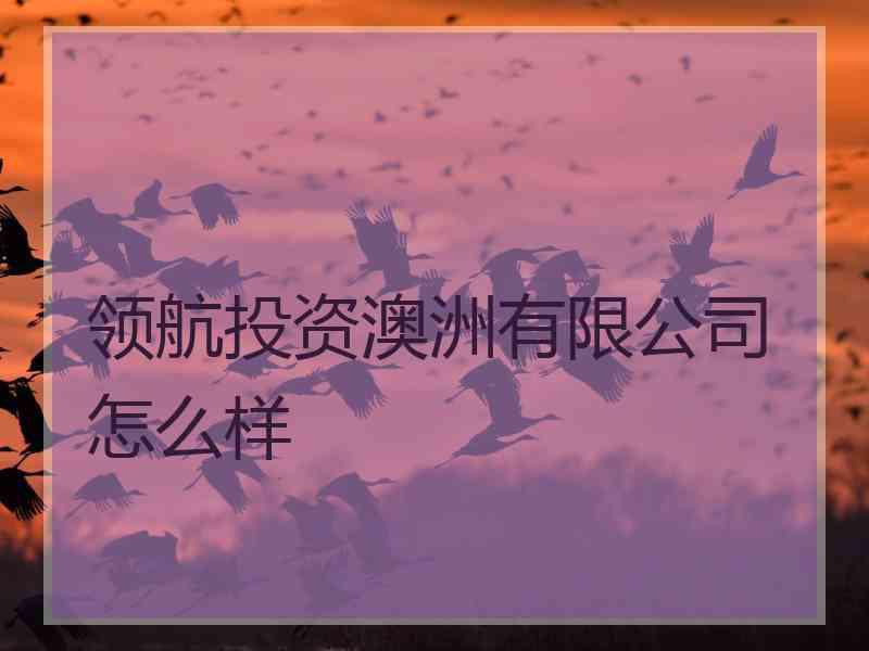 领航投资澳洲有限公司怎么样