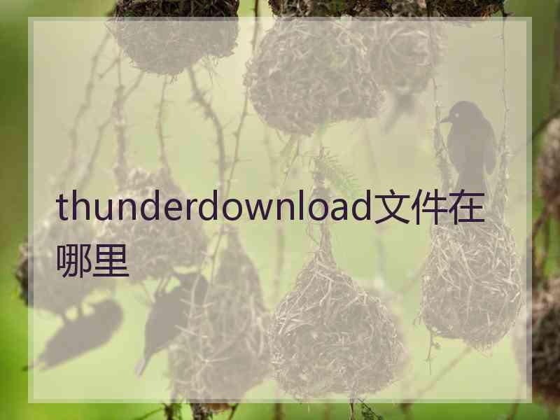 thunderdownload文件在哪里