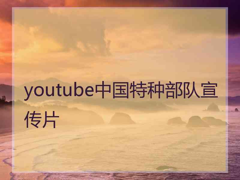 youtube中国特种部队宣传片