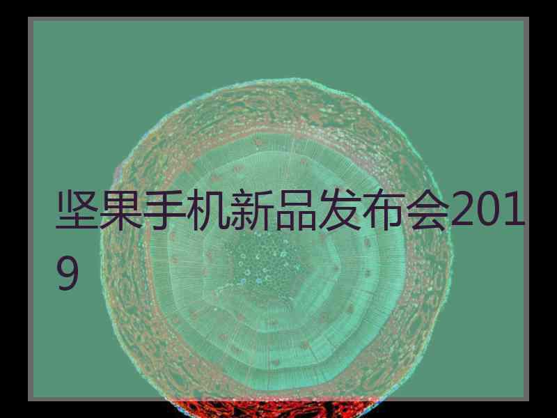 坚果手机新品发布会2019