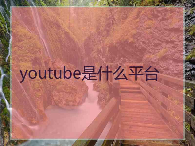 youtube是什么平台