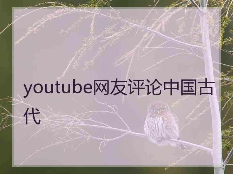 youtube网友评论中国古代