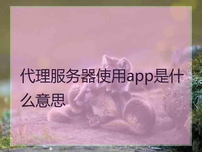 代理服务器使用app是什么意思