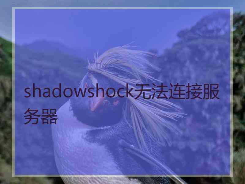 shadowshock无法连接服务器