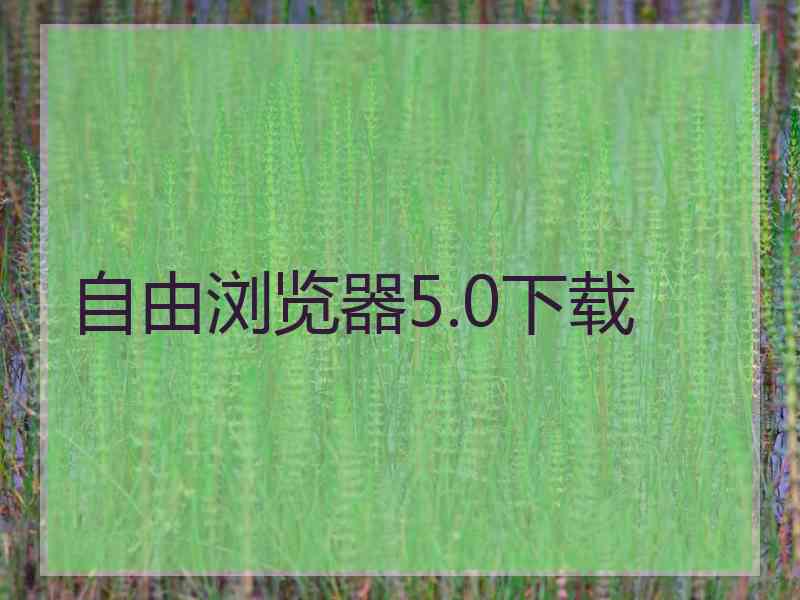 自由浏览器5.0下载