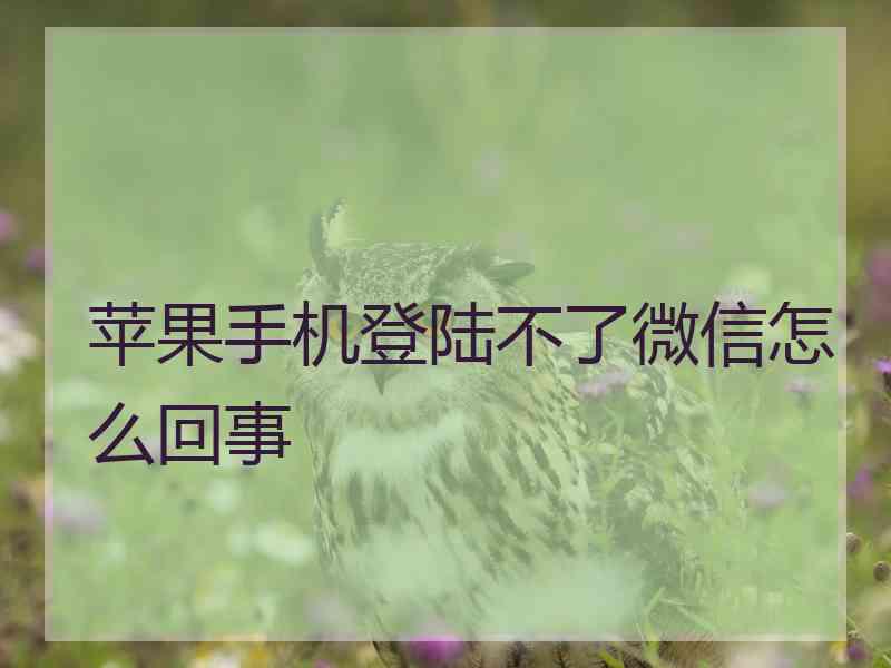 苹果手机登陆不了微信怎么回事