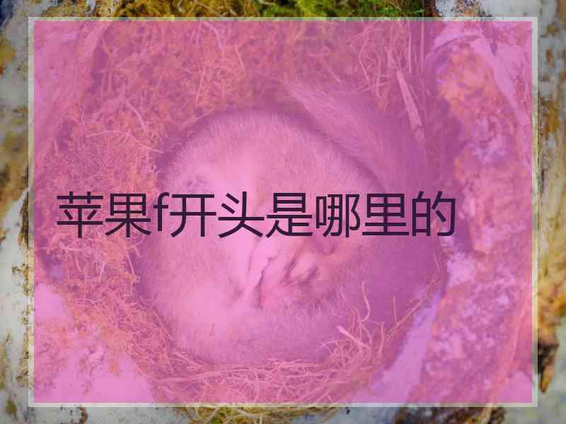 苹果f开头是哪里的