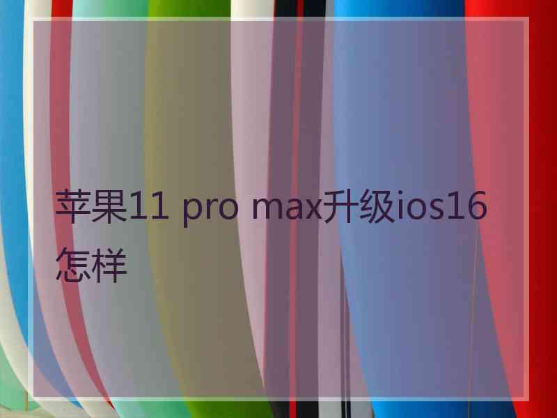 苹果11 pro max升级ios16怎样