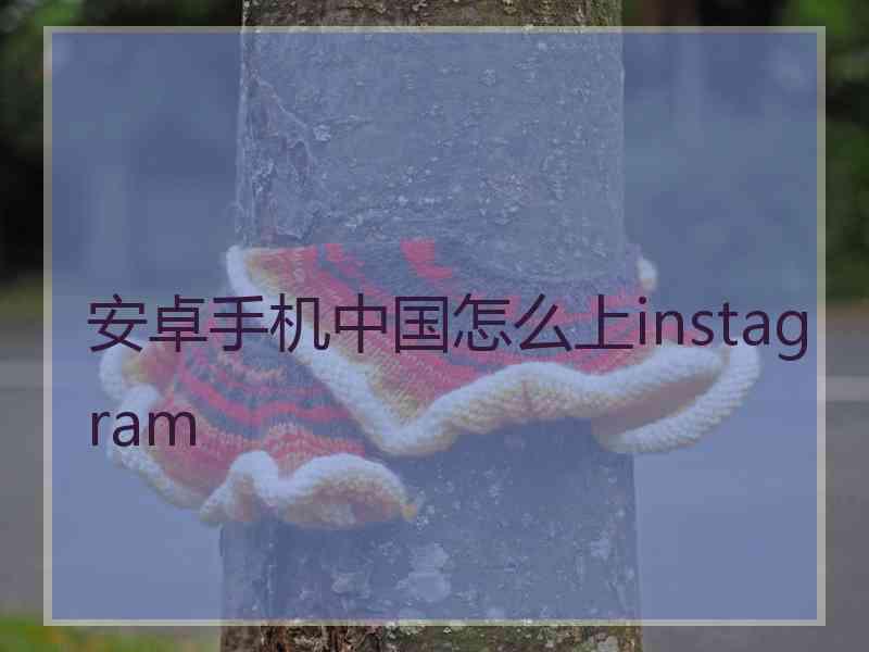 安卓手机中国怎么上instagram