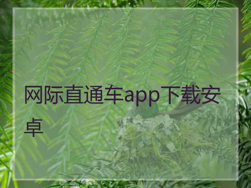 网际直通车app下载安卓