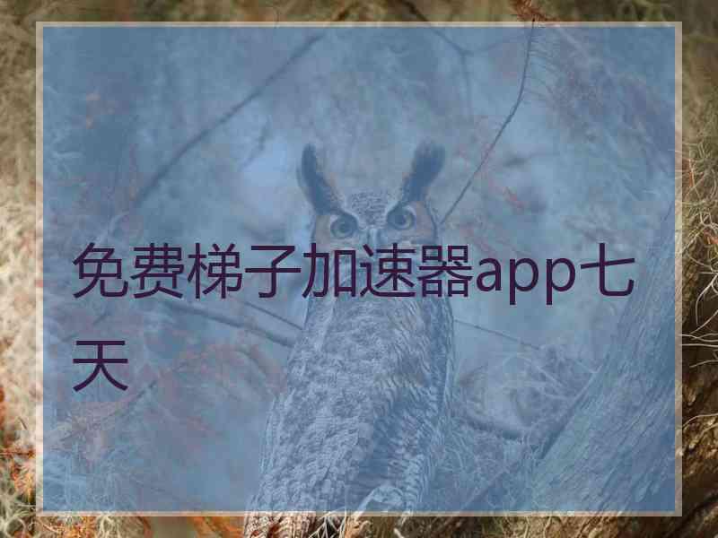 免费梯子加速器app七天