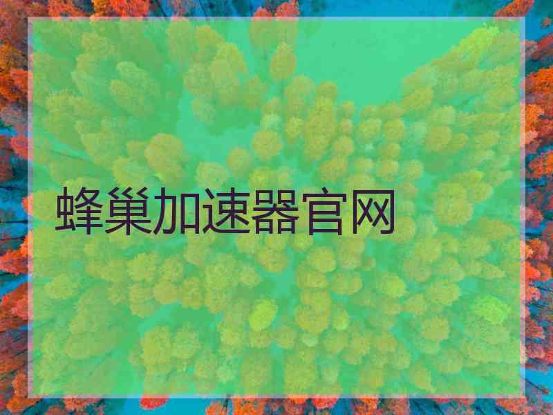 蜂巢加速器官网