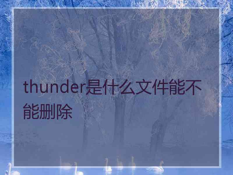 thunder是什么文件能不能删除