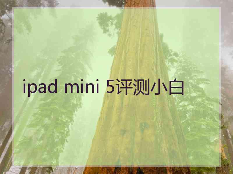 ipad mini 5评测小白