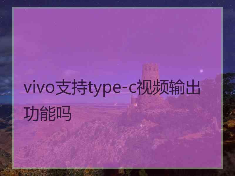 vivo支持type-c视频输出功能吗