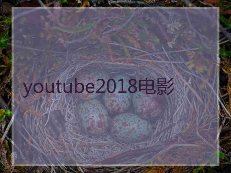 youtube2018电影