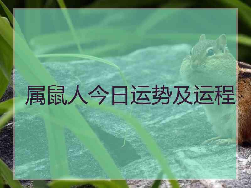 属鼠人今日运势及运程