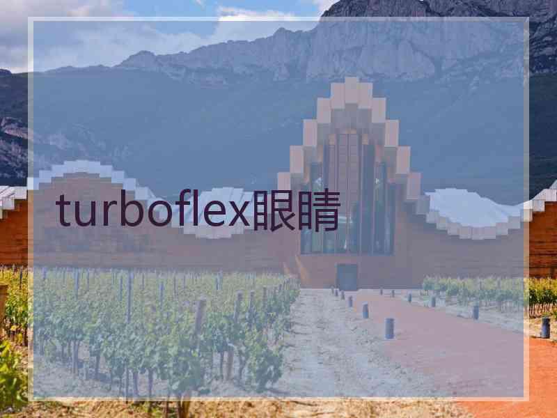 turboflex眼睛