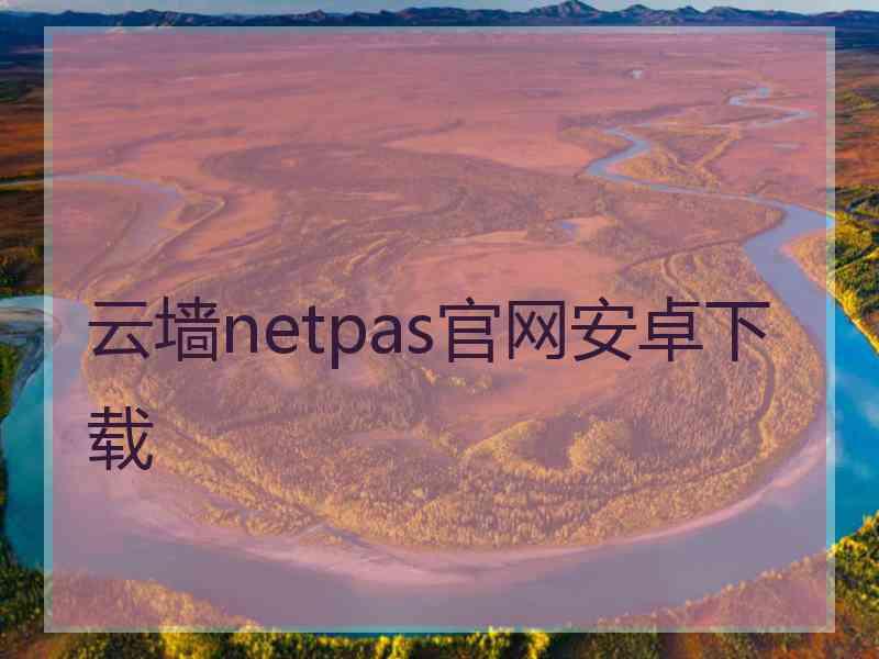 云墙netpas官网安卓下载