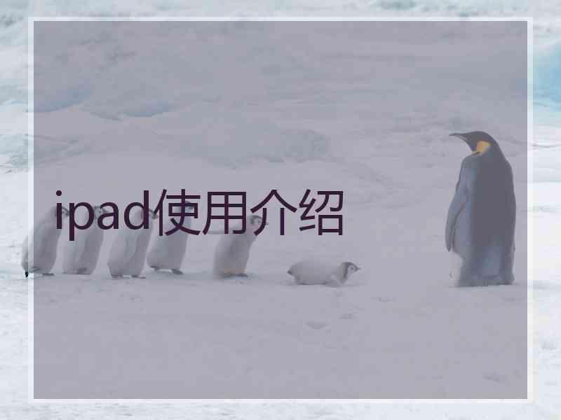 ipad使用介绍