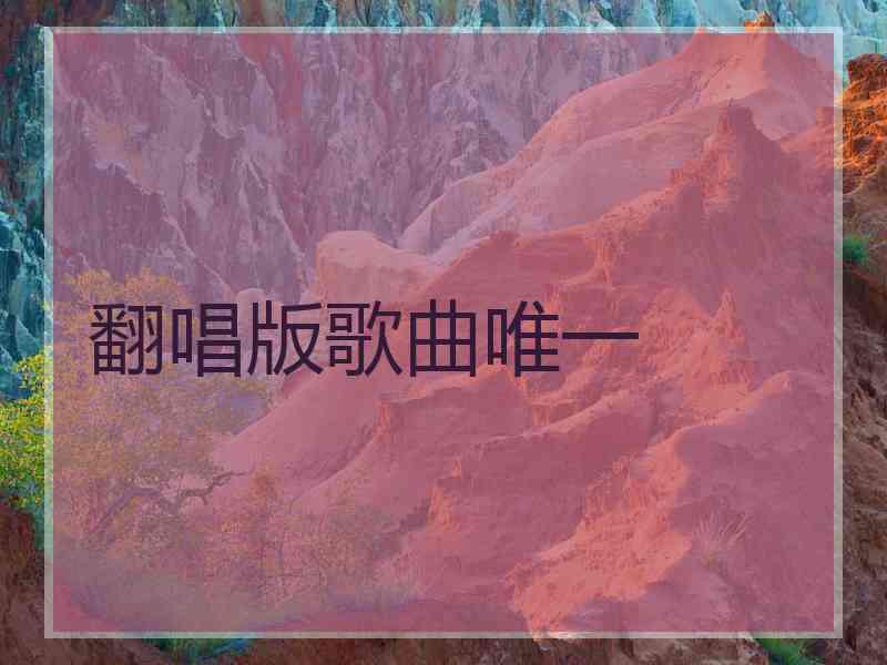 翻唱版歌曲唯一