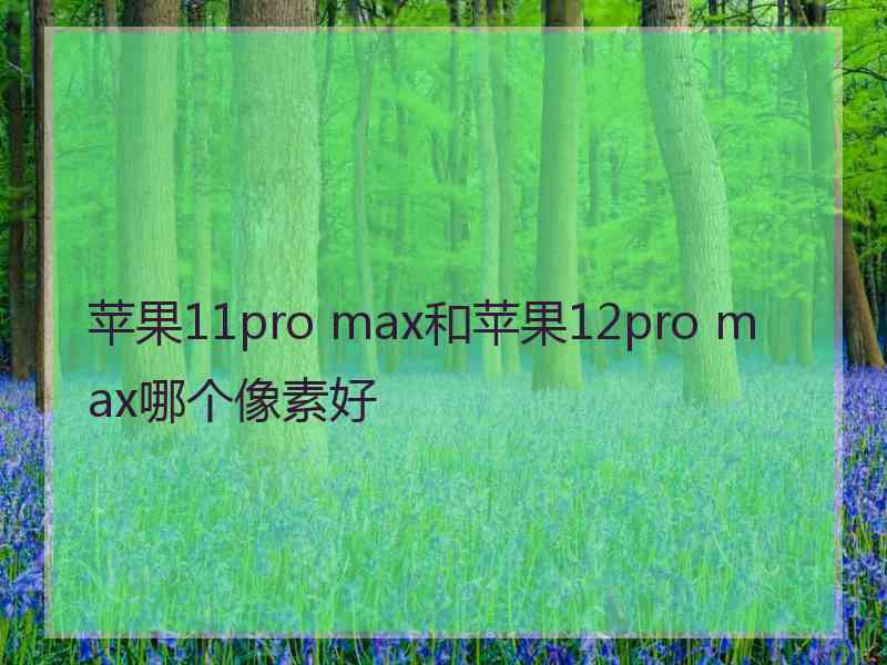 苹果11pro max和苹果12pro max哪个像素好