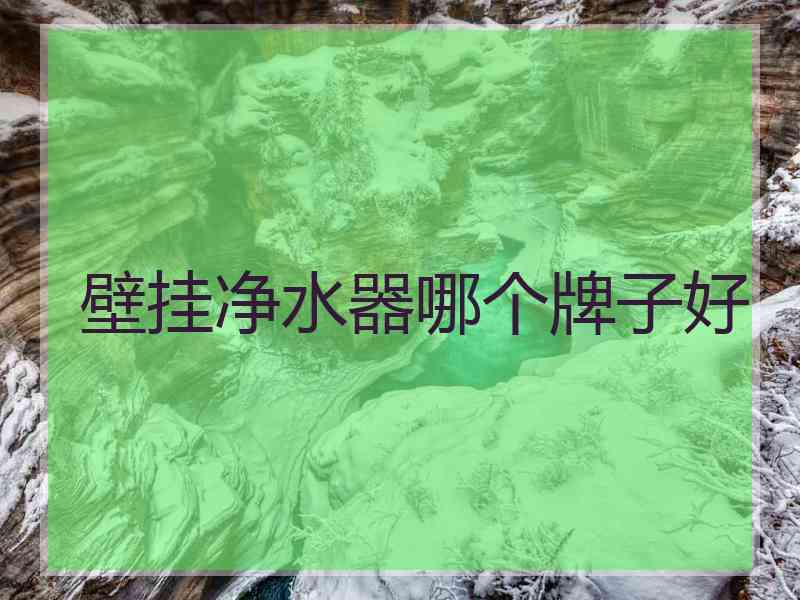 壁挂净水器哪个牌子好