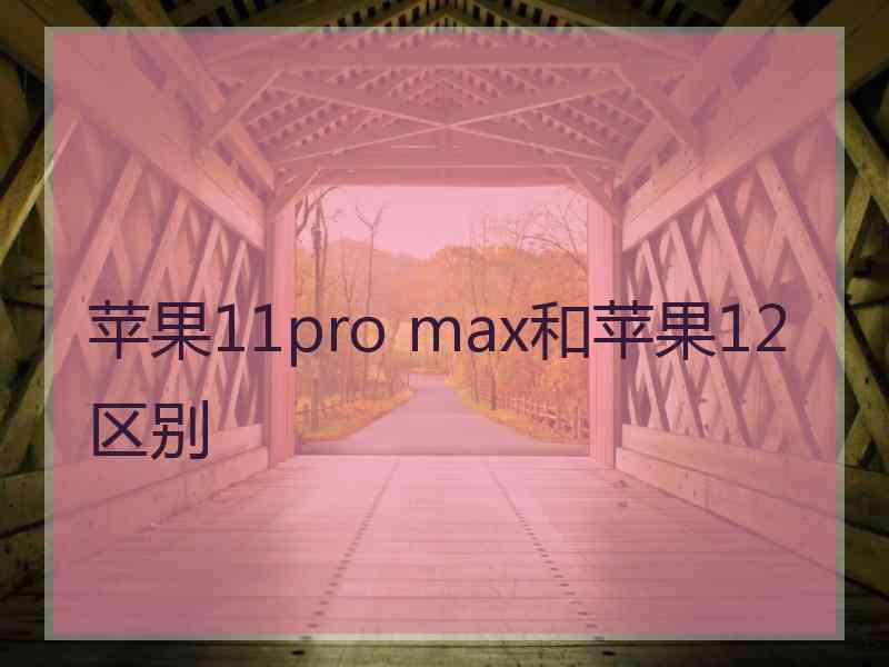 苹果11pro max和苹果12区别