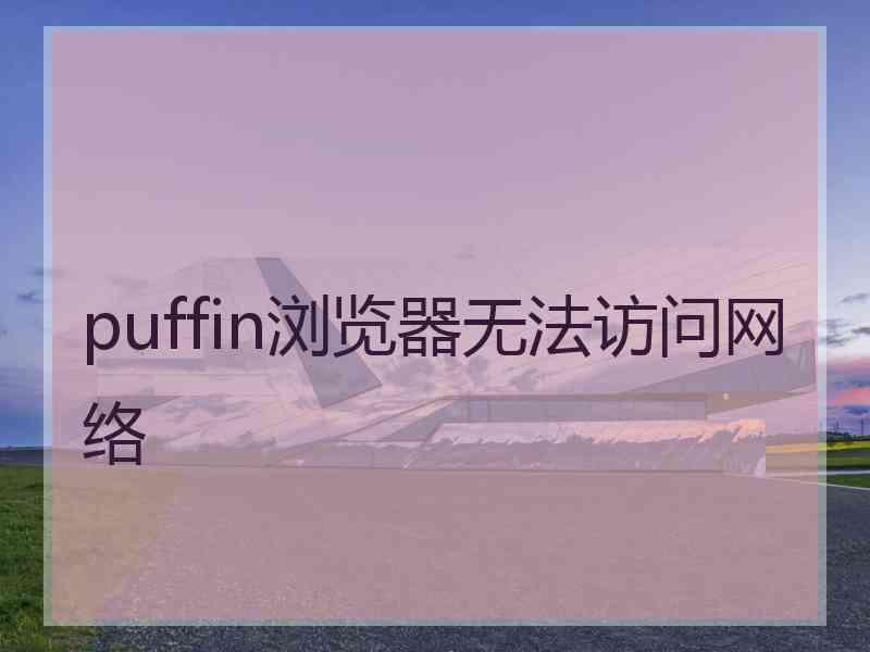 puffin浏览器无法访问网络