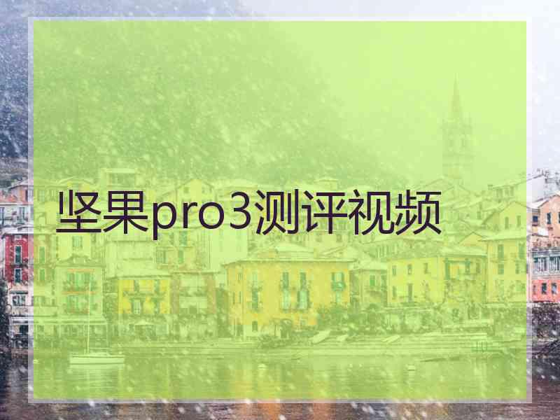 坚果pro3测评视频