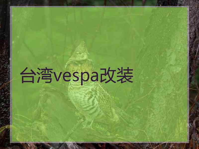 台湾vespa改装