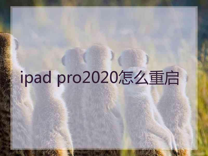 ipad pro2020怎么重启