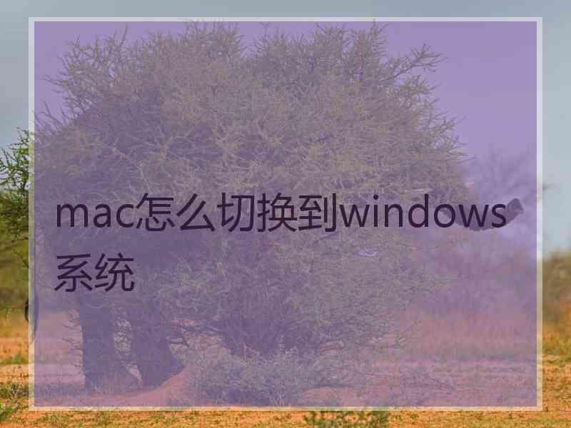 mac怎么切换到windows系统