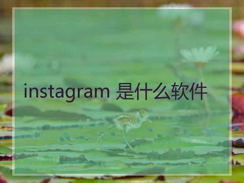 instagram 是什么软件