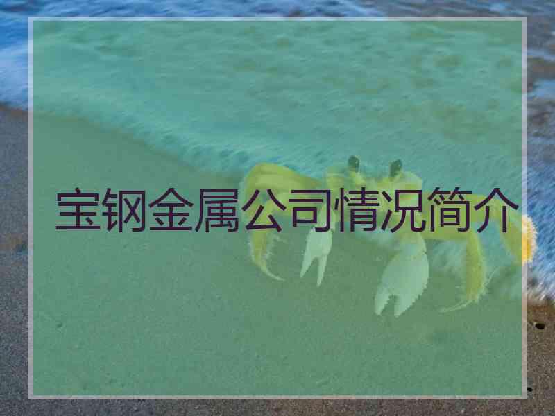 宝钢金属公司情况简介