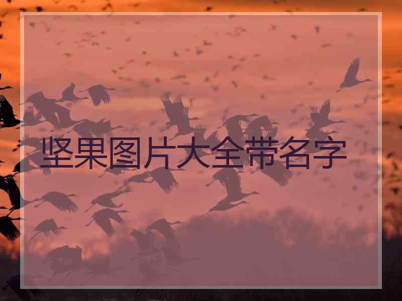 坚果图片大全带名字