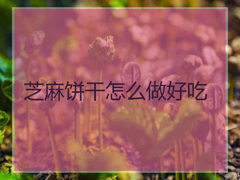 芝麻饼干怎么做好吃