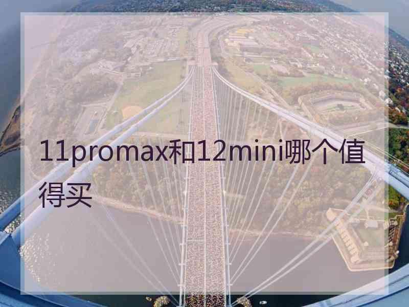 11promax和12mini哪个值得买