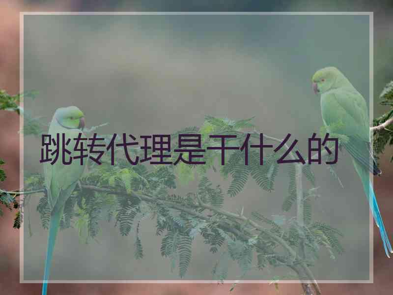 跳转代理是干什么的