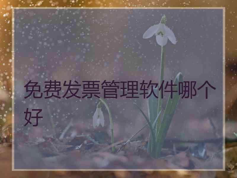 免费发票管理软件哪个好