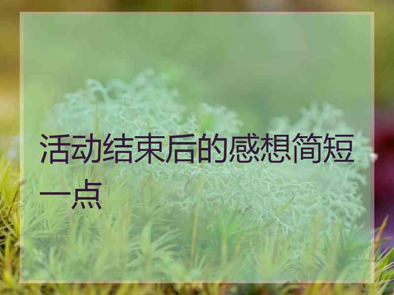 活动结束后的感想简短一点