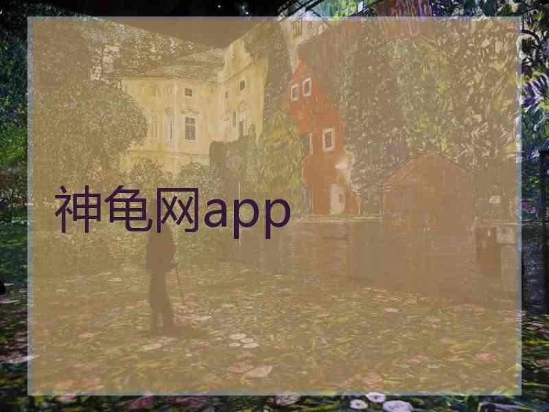 神龟网app