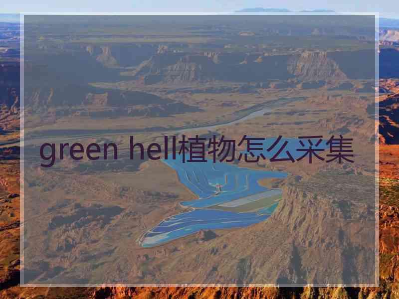 green hell植物怎么采集