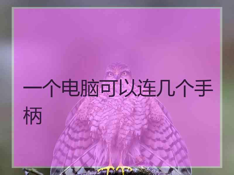 一个电脑可以连几个手柄